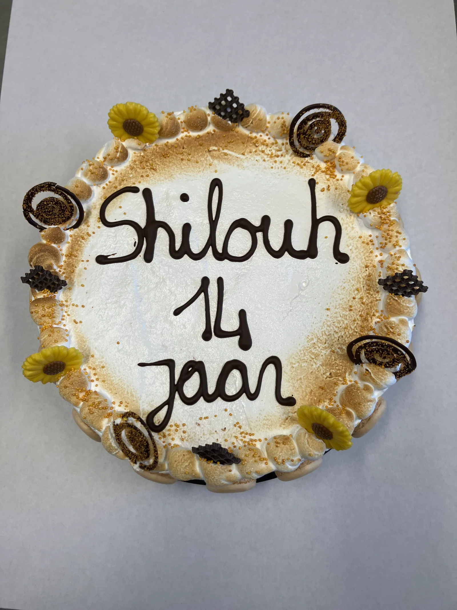 Standaard ijstaart foto 8